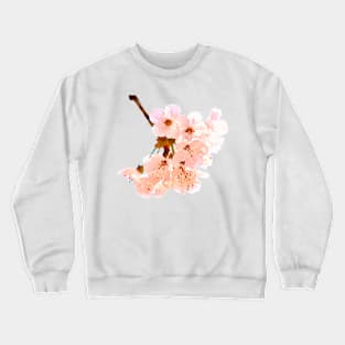 Cherry blossom Crewneck Sweatshirt